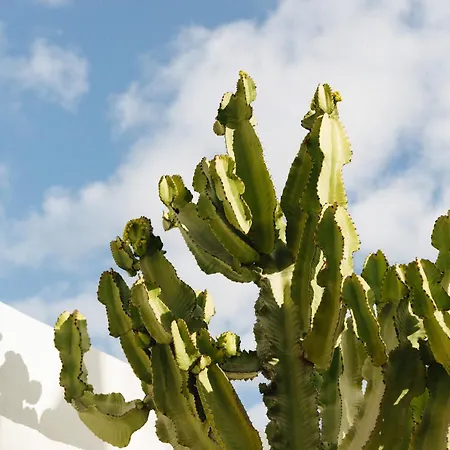 Villa Casa Jable Azul Costa Adeje (Tenerife)