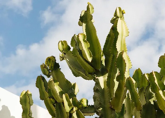 Вілла Casa Jable Azul Адехе